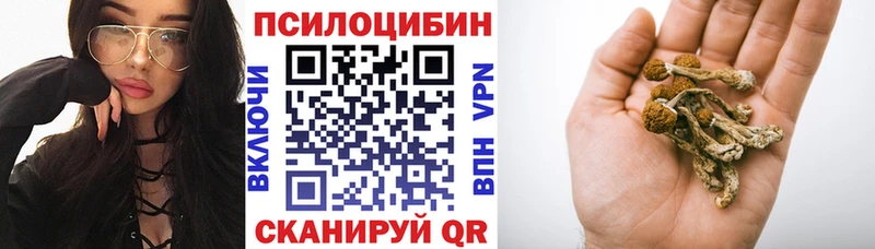 Галлюциногенные грибы мухоморы Кущёвская